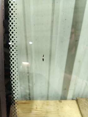 715008859 Can-am Used Glass Windshield For 2018-2020 Maverick And X3 Max Turbo