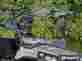 Fws-hs-se-70 Super Atv Hisun Sector Scratch Resistant Flip Windshield Fws-hs-se-70 Super Atv Hisun Sector Scratch Resistant Flip Windshield