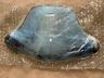 Y140321z Yamaha New Atv Bear Logo Windshield