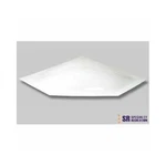 Specialty Recreation NSL208W White Thermoformed Polycarbonate Neo Skylight. Fixed Price $144.86.