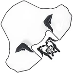 Polaris 2889491 Windshield Tall New Oem 2890618. Fixed Price $234.99.