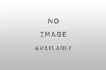 Camco 66031 Black Boar Atv Windshield. Fixed Price $136.14.