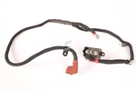 FEU-274885-A1 Alternator Starter Motor Cable Ferrari Used Parts. Fixed Price $230.00.