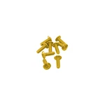Puig Windscreen Screw Kit - Gold, Standard Nut 0956G. Fixed Price $9.79.